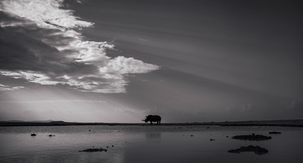 Gallery_05